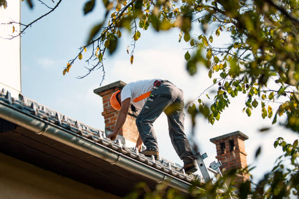 Best Roofing Contractor Near Me  in Mason City, IL