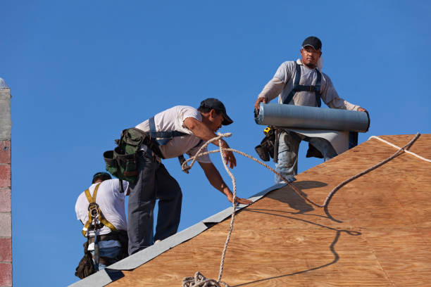 Best Local Roofing Companies  in Mason City, IL