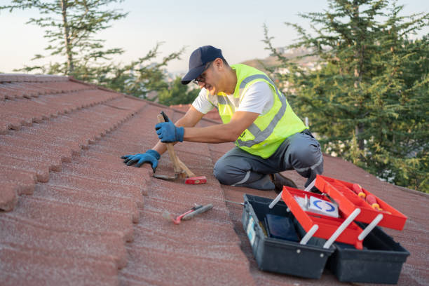 Best Roof Waterproofing Services  in Mason City, IL