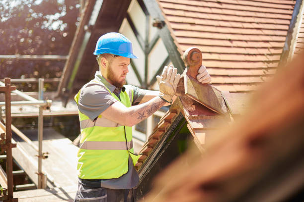 Best Roof Gutter Cleaning  in Mason City, IL