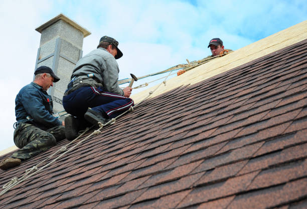 Best Flat Roof Repair Services  in Mason City, IL